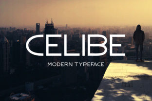Celibe: The Modern Typeface for Polished Business Branding