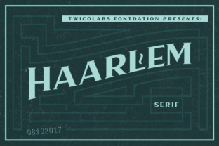 Elevate Your Brand Identity with Haarlem Serif Typeface