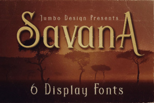 Launch Retro Campaigns with Savana Display Fonts