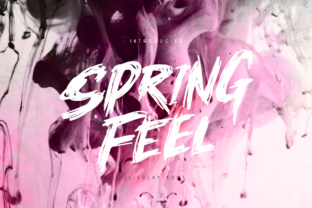 Springfeel: The Edgy Brush Font for Modern Branding