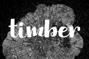 Timber: A Hand-Lettered Display Font for Bold Branding
